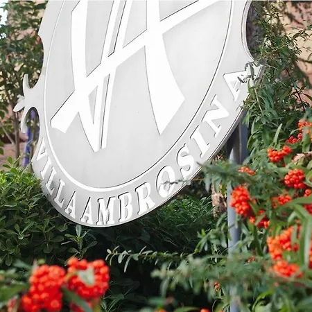 Ambrosina 3*